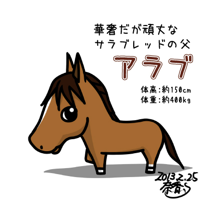 アラブ　馬図鑑　馬種類